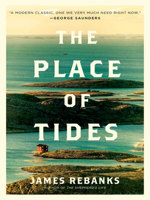 The Place of Tides - ebook